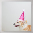 Search for corgi posters Cute