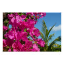 Search for palm trees posters Pink