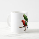 Search for eclectus parrot Cute