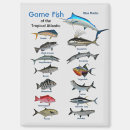 Search for fish magnets Colorful