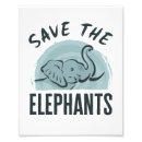 Search for wildlife conservation posters Elephants