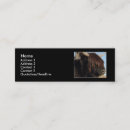 Search for highland cow business cards Animal