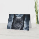 Search for german cards Animals