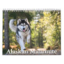 Search for alaskan malamute gifts Snow