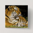 Search for tiger eye buttons North america