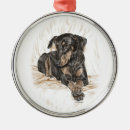 Search for doberman ornaments Pinscher