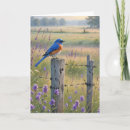 Search for bluebird cards Summer