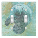 Search for double light switch covers Coastal