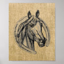 Search for horse anatomy posters Pony