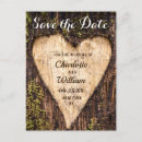 Search for string lights save the dates Botanical