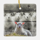 Search for sheep ornaments Lamb