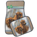 Search for golden retriever gifts Pets
