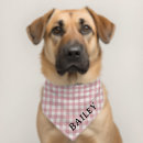 Search for dog collars harnesses Pink