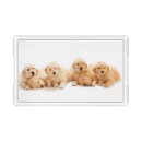 Search for acrylic serving trays Dog