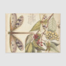 Search for fruit tissue paper Leaves