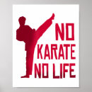 Search for karate posters Martial arts