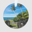 Search for finance ornaments Money