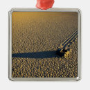 Search for death valley ornaments Usa