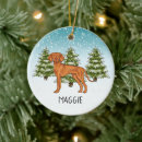 Search for vizsla ornaments Hungarian pointer