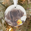 Search for rubber duck ornaments Animal