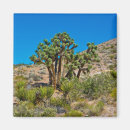 Search for national monument magnets Nevada
