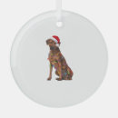Search for rhodesian ridgeback ornaments Wolf