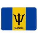 Search for barbados magnets Vacation