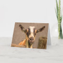 Search for handsome cards Country