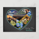 Search for wolf postcards Alaska