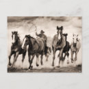 Search for southwest postcards Animals