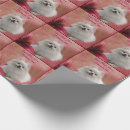 Search for pomeranian wrapping paper Animal