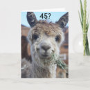 Search for funny adult birthday cards Photography