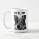 Search for blue heeler gifts Dogs