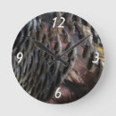 Search for turkey clocks Feathers