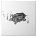 Search for turtle tiles Marine animal