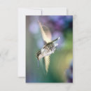 Search for hummingbird cards Green