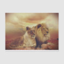 Search for lion tissue paper Decoupage