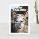 Search for donkey birthday cards Photography