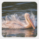 Search for motion stickers Nature