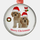Search for cocker spaniel dog ornaments Funny