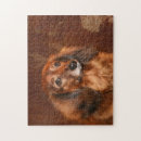 Search for dachshund puzzles Red