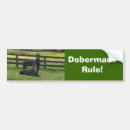Search for doberman pinscher bumper stickers Puppy