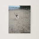 Search for jack russell terrier puzzles Dog