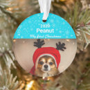 Search for chihuahua ornaments Puppy