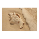 Search for turks and caicos art Ocean