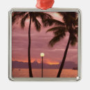 Search for sunset ornaments Palm tree