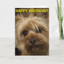 Search for yorkie birthday cards Dog