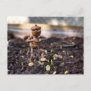 Search for acorn postcards Funny
