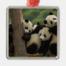 Search for china ornaments Animal