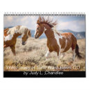 Search for mustang calendars Animals